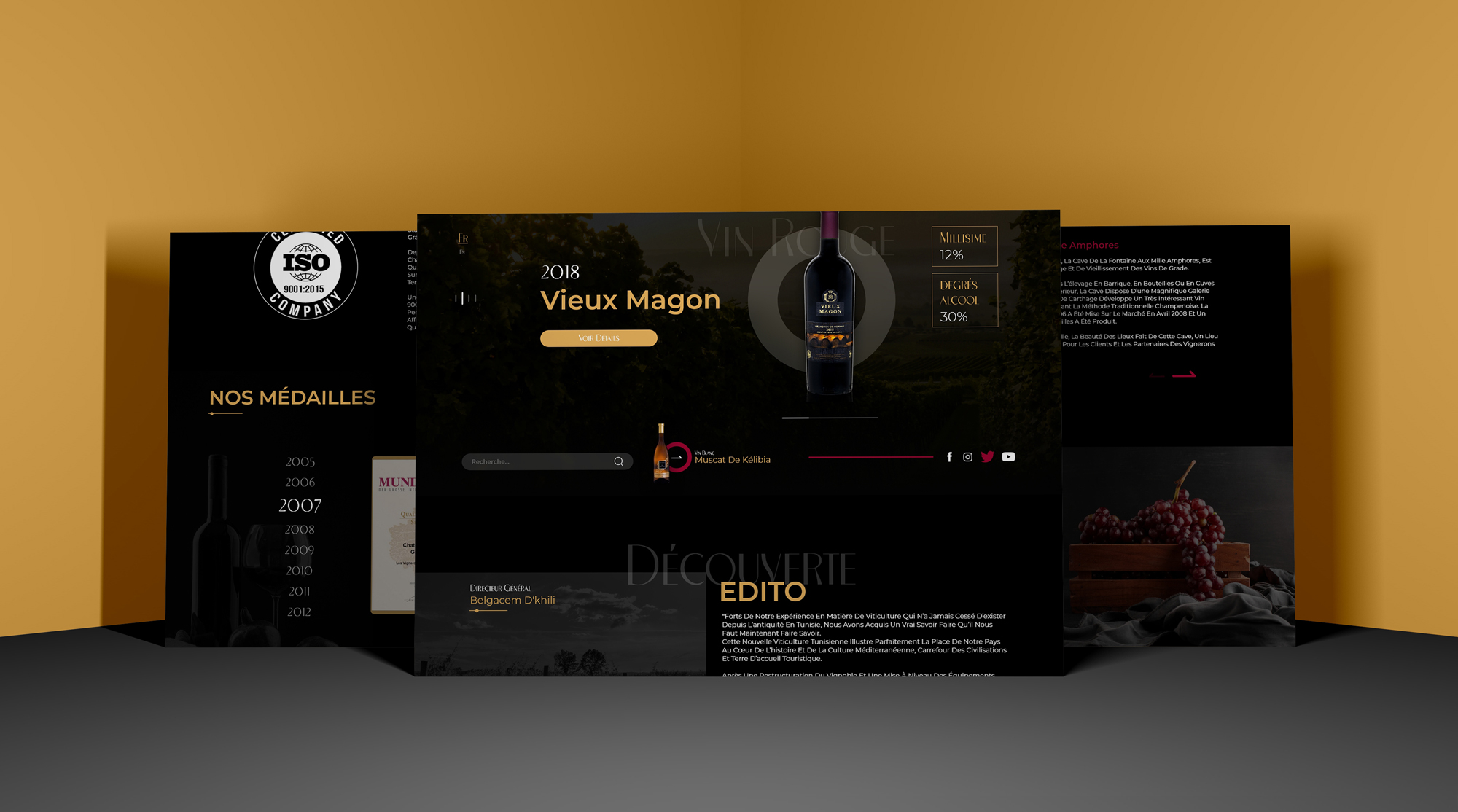 portfolio lezartsdigital design site web les vignerons de carthage